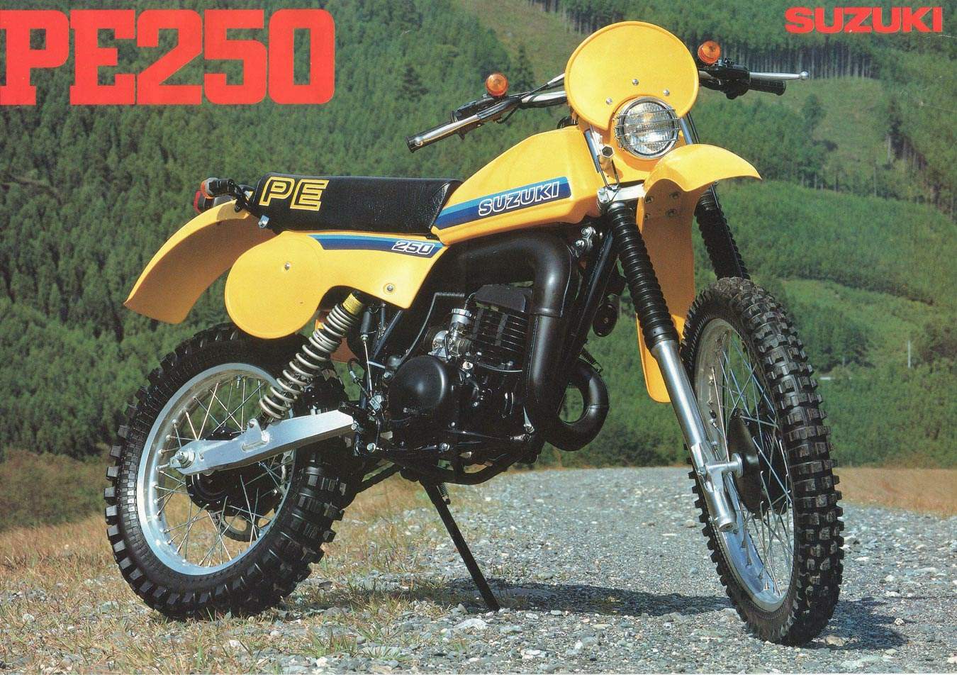 , 1981 Suzuki PE 250