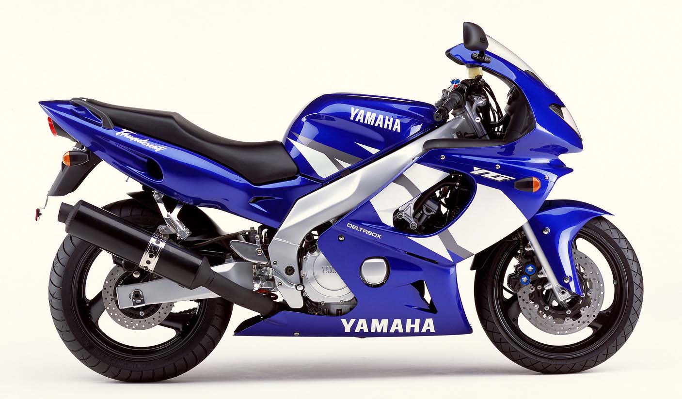 , 2003 &#8211; 2004 Yamaha YZF 600R gato trueno