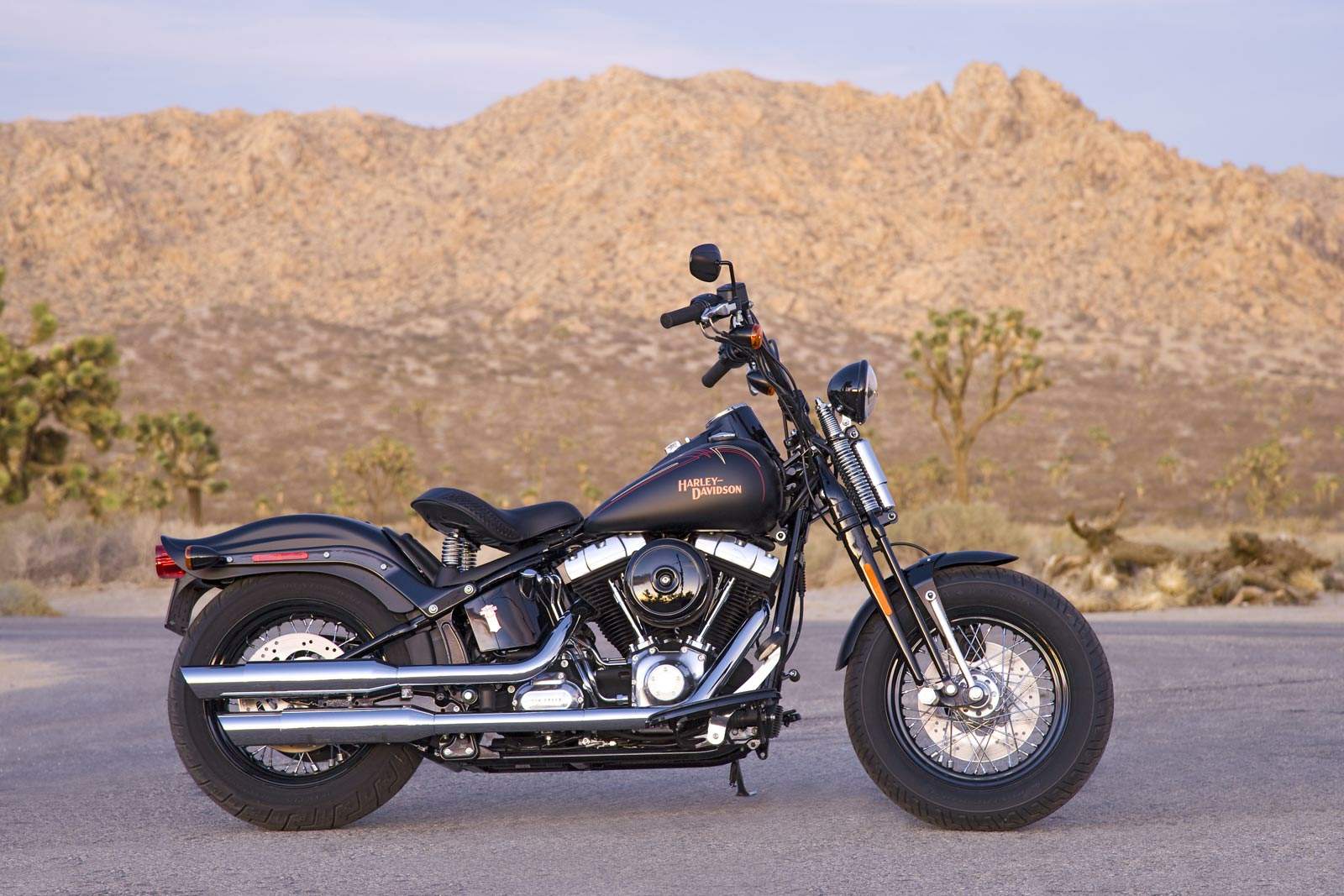 , Harley Davidson FLSTS Legado Springer Clásico