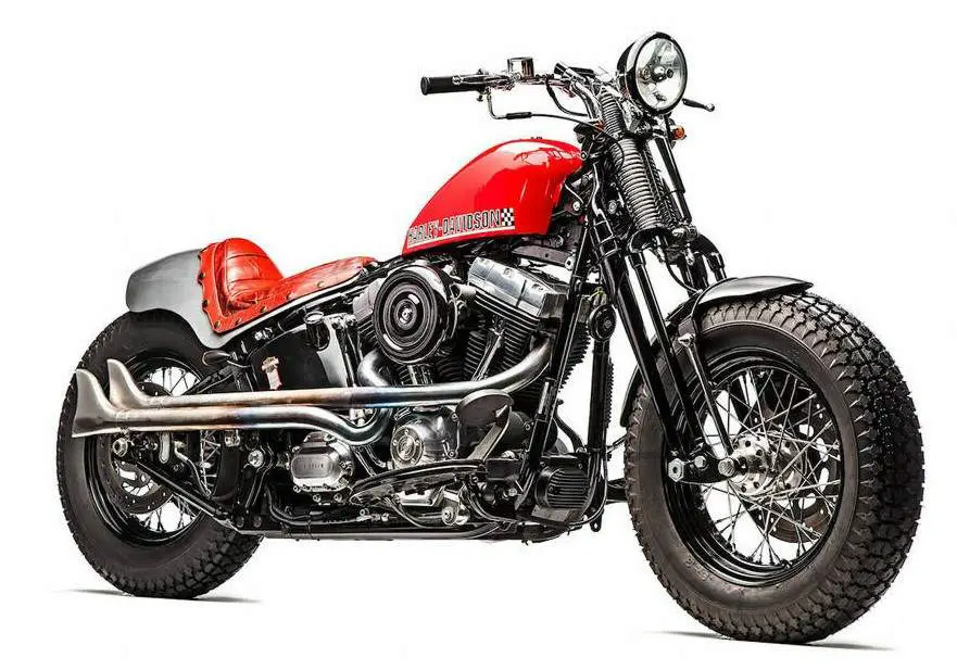 , Harley-Davidson Softail &#8216;Redho&#8217; Cross Bones de Roberto Rossi