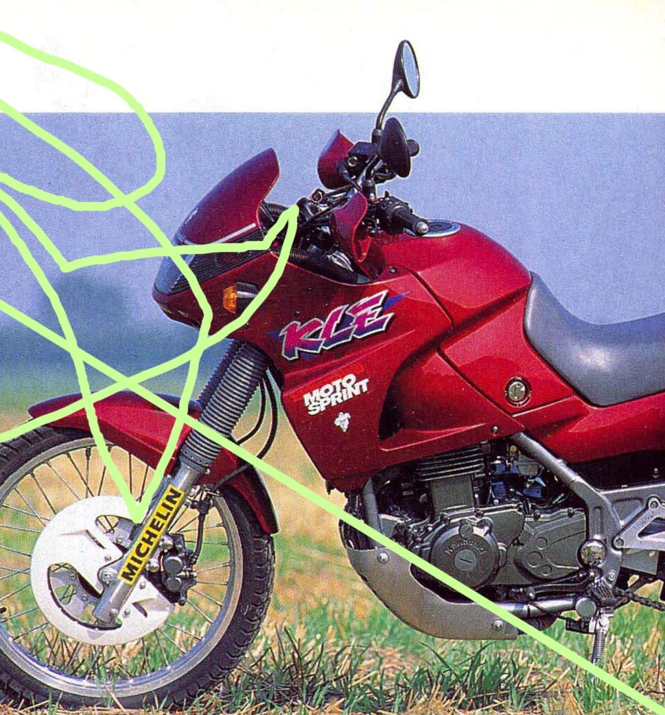 , Suzuki DR 800 S Mor