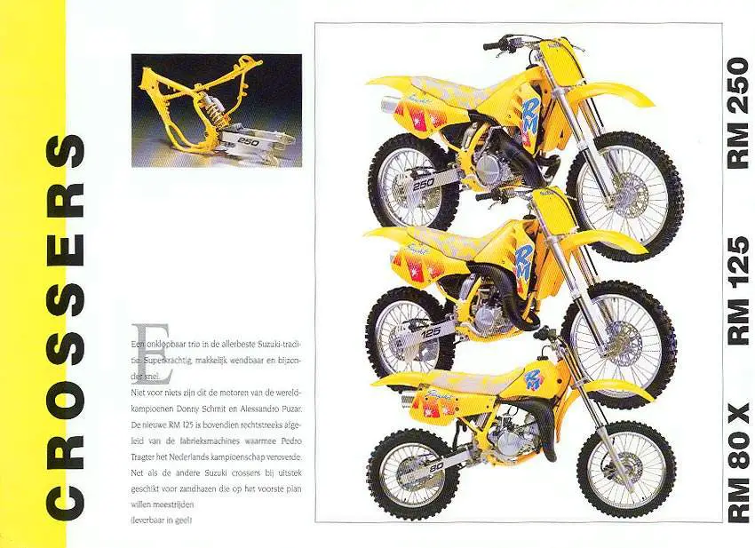 , Suzuki RMX 250S